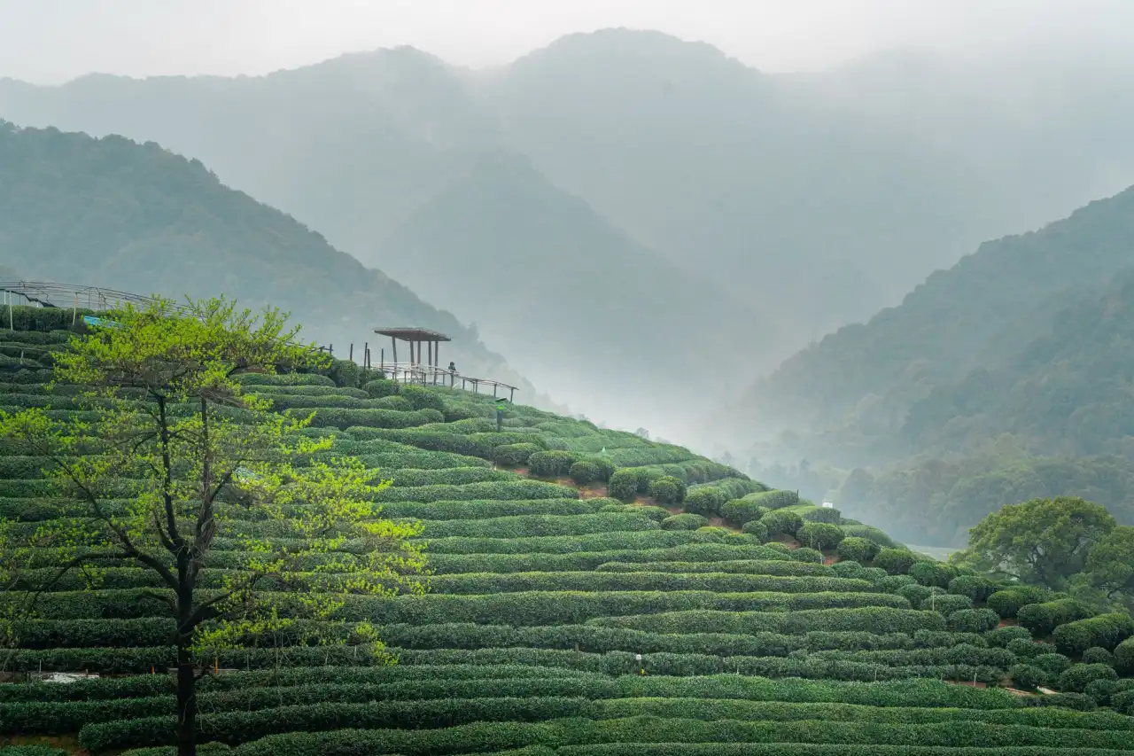 聊城亿特管业PE给水管材管件技术规格与工程应用优势解析