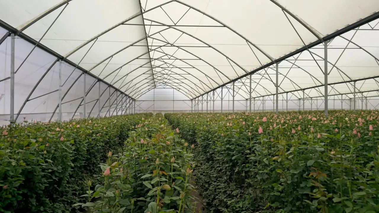 聊城亿特管业PE给水管材管件技术参数与工程应用解析