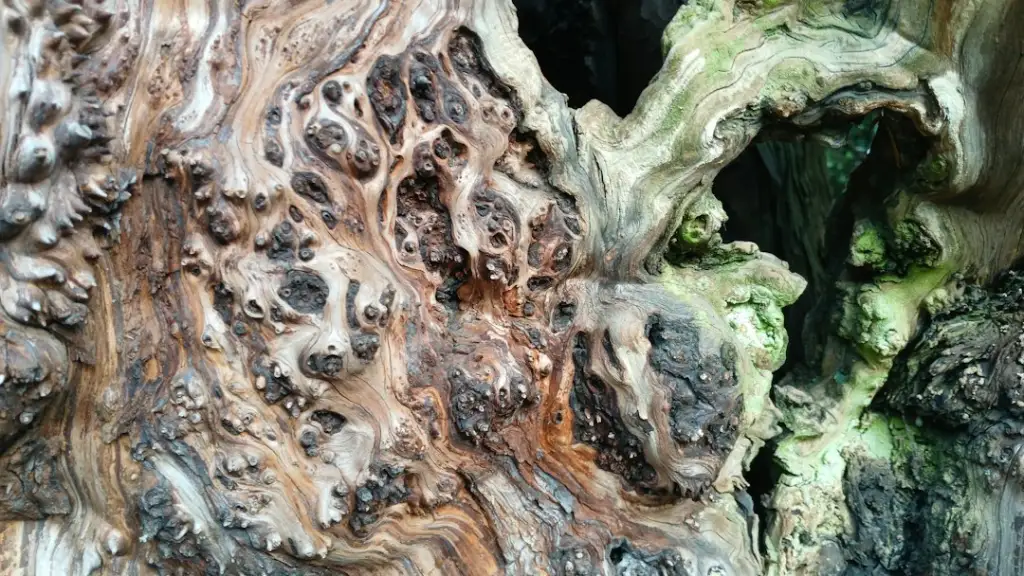 建筑工程给排水系统管业制造质量管控关键环节与常见问题分析
